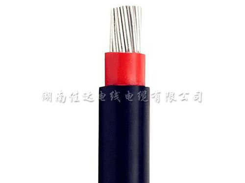 香蕉在线视频播放系列