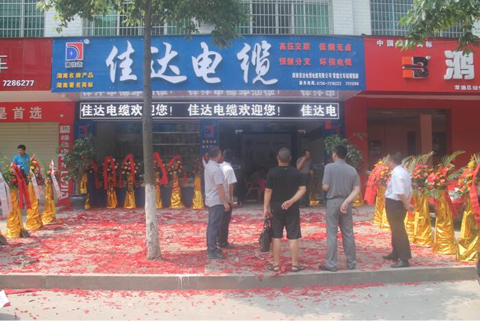 湖南香蕉视频APP软件电线电缆有限公司,香蕉视频APP软件电线电缆,香蕉视频污在线观看系列,控制电缆,电线电缆企业哪里好
