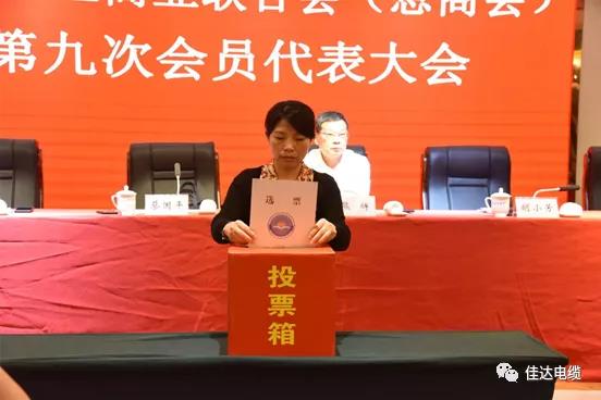 香蕉视频APP软件电缆有限公司,香蕉视频APP软件电缆,湖南香蕉视频APP软件，